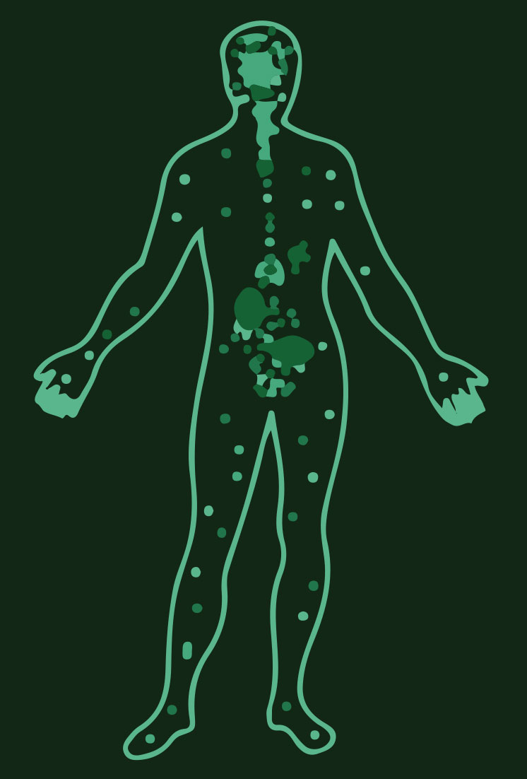 Cannabinoid receptors